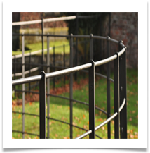 Railings DSC_0037 - Carol Sparkes